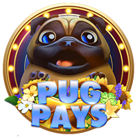 Pug Pays